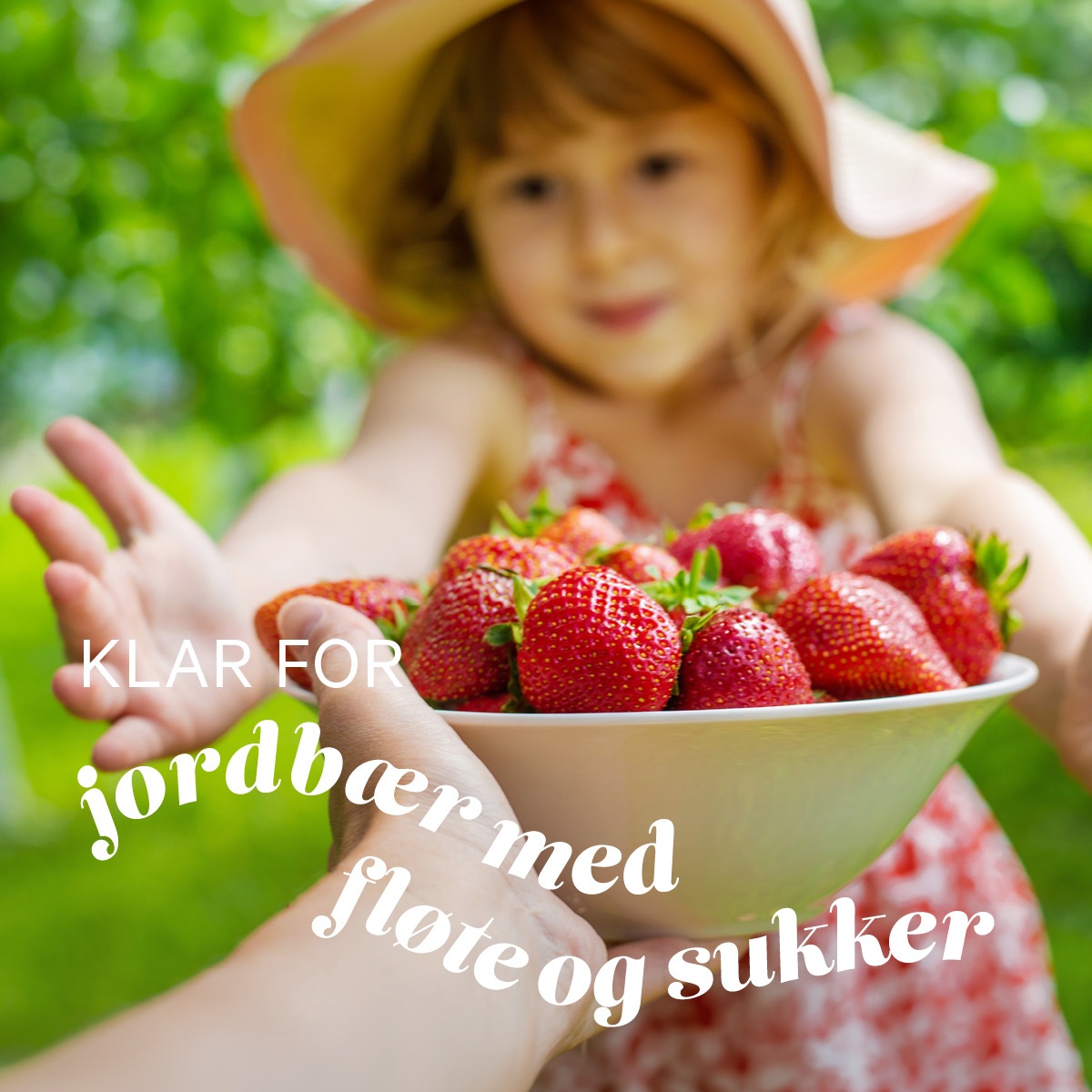JEKT_4448_sommer26_artikkel1_jorbær...4.jpg