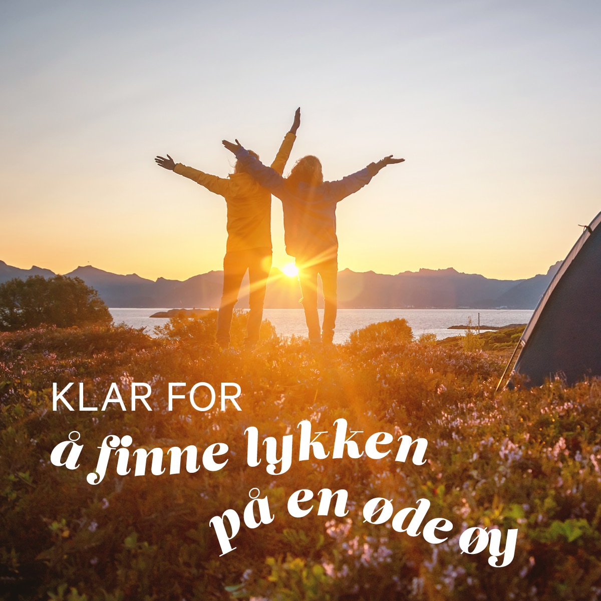 JEKT_4448_sommer26_artikkel3_finne...4.jpg