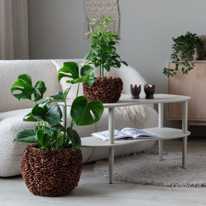 1 Monstera Fredslilje Efoy Schefflera Kongle potte Lotus telysholder 1080x1080